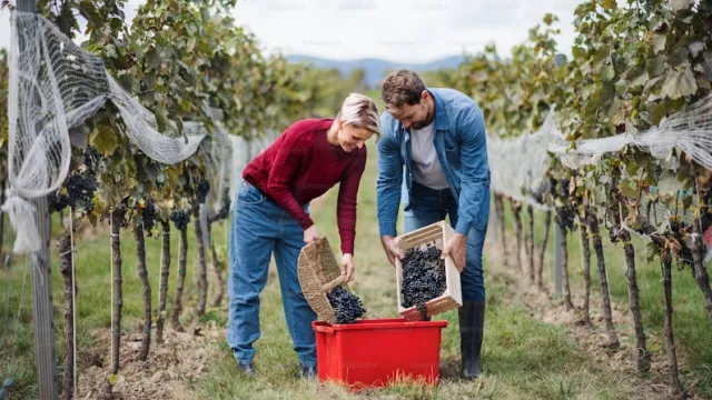 turismo e agricoltura